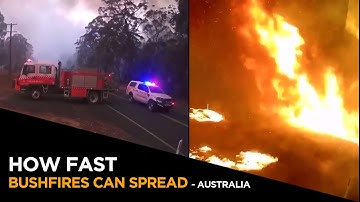 How Fast Bushfires Can Spread -  Australia