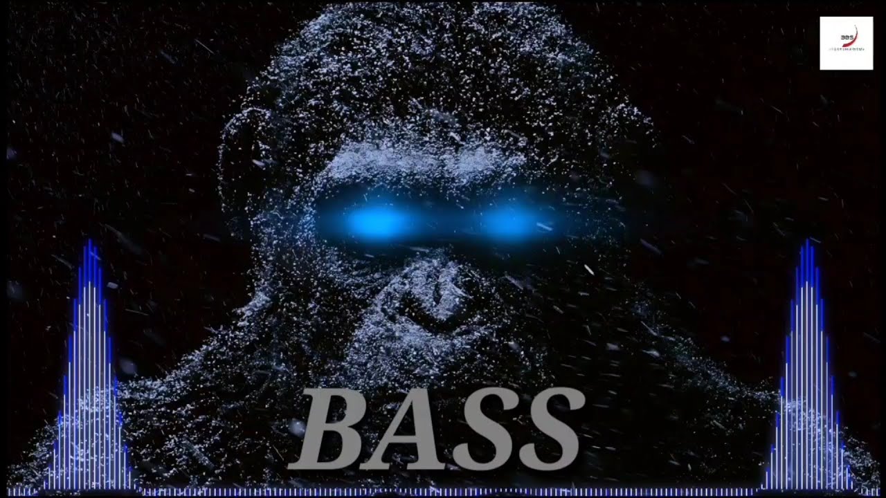 SOUND CHECK VIBRATION BASSHigh Quality Bass 2023