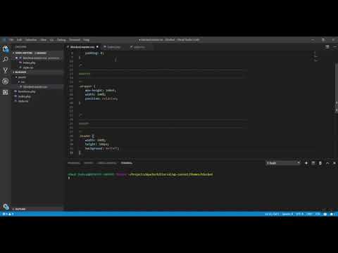VSCode Issue Video