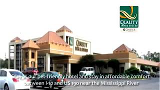 Hotels in Port Allen LA | Quality Inn & Suites near Mississippi River