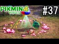 PIKMIN4-ピクミン- 実況プレイ #37