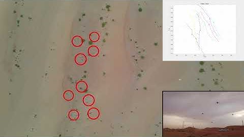 A Minimalistic 3D Self-Organized UAV Flocking Approach for Desert Exploration