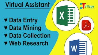 Data entry Portfolio  Video