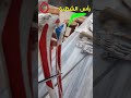 فيديوهات تشريح اطراف عظم الشظية