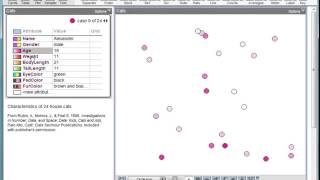 TinkerPlots Basics