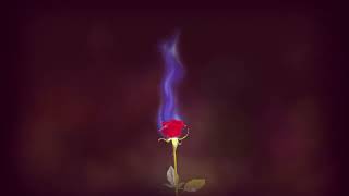 Rose On Fire (Royalty Free - Creative Commons) screenshot 4