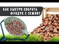 Легко и быстро собираем фундук с земли. Ролл - орехосборник