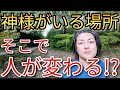 一本で伸びる木と、下から分かれる木…神様がいる場所では“人間の本音”が変わる？