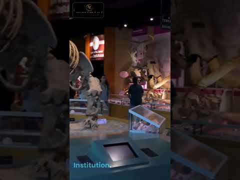 Video: Obisk muzejev Smithsonian v Washingtonu DC