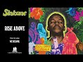 Sinkane  rise above official audio