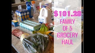 Family of Five Grocery Haul 3.8.19 - $100 Weekly Grocery Budget - Grocery Shopping
