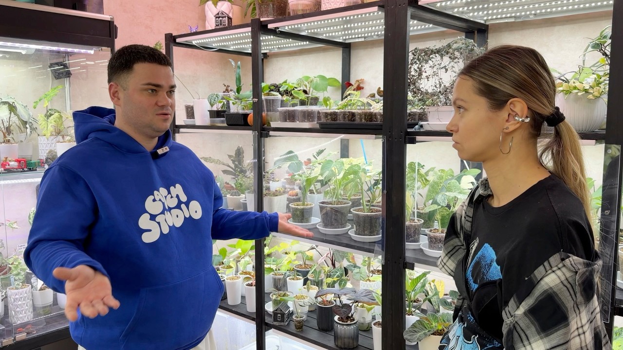 КАК ЖИВЕТ ЧЕЛОВЕК СО 100+ РАСТЕНИЯМИ В КВАРТИРЕ 🌿 | Вся правда о вариегатных, алоказиях и монстерах