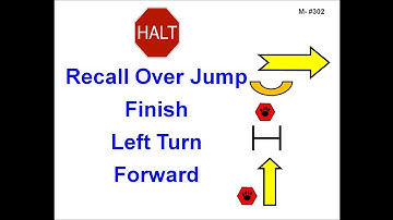302. HALT - Recall over Jump - Finish - Left Turn - Forward