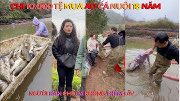 Bỏ 10.000 Tệ Mua Ao Cá 18 Năm, Nhưng Cá Bị Chê Không Ai Muốn Nhận 😰😰😰