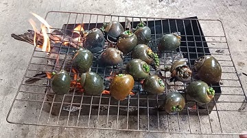 Cận cảnh ốc bươu nướng tiêu xanh - Hương vị đồng quê