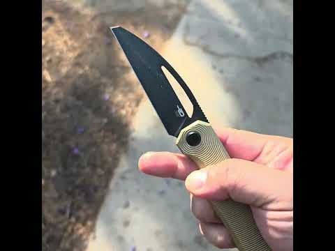 Bestech Taipan- that Taipan Ting!