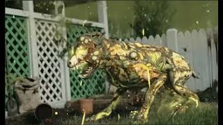 Paradox Junction New Dog Round Background Music Call Of Duty Black Ops 7