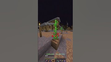 How to get the Chicken and egg timecharm in the new rift update #shorts