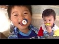 久しぶりのおしゃぶりに興奮する兄弟　取られて泣くおいちゃん　SunflowerTV