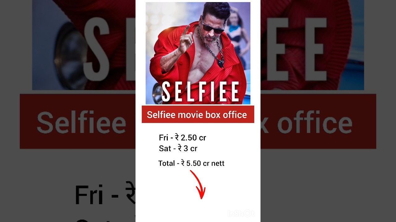 Selfie movie 2nd day box office collection 