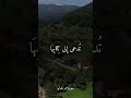 وترى كل أمة جاثية