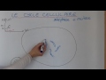 Le cycle cellulaire