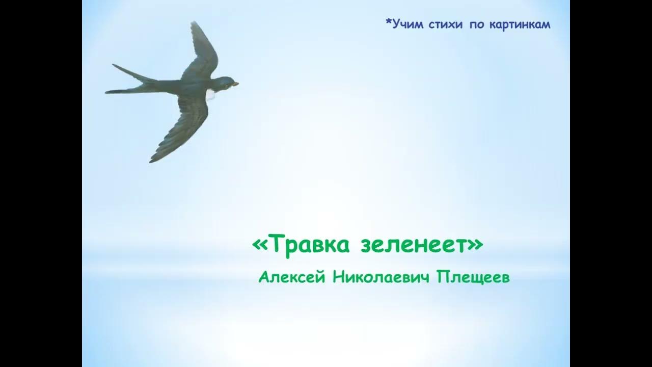 Плещеев травка зеленеет. Травка зеленеет солнышко полностью