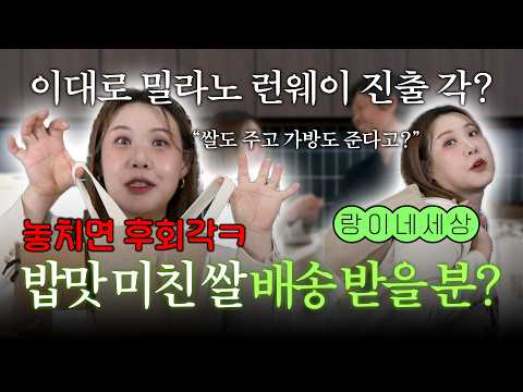 “쌀이 이렇게 맛있다고?” 제작진을 술렁이게 만든 쌀의 정체 [이희경의 농픽 04]