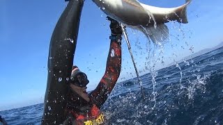 Pole Spearfishing Greece vol.2 115 ft deep-Υποβρύχιο ψάρεμα με καμάκι  vol.2