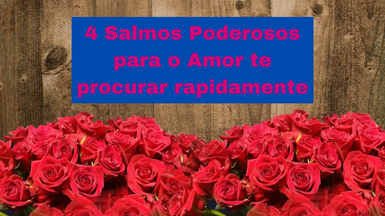 4 Salmos Poderosos para o Amor te procurar rapidamente: Salmos 8, 12 ...