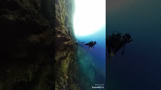 Scuba2