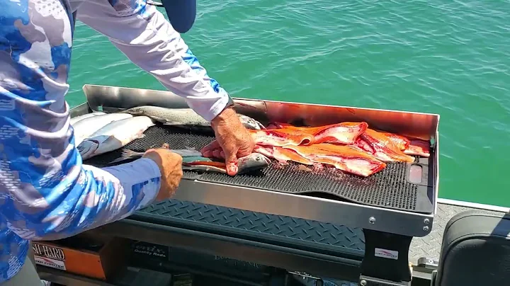 Monte filleting fish
