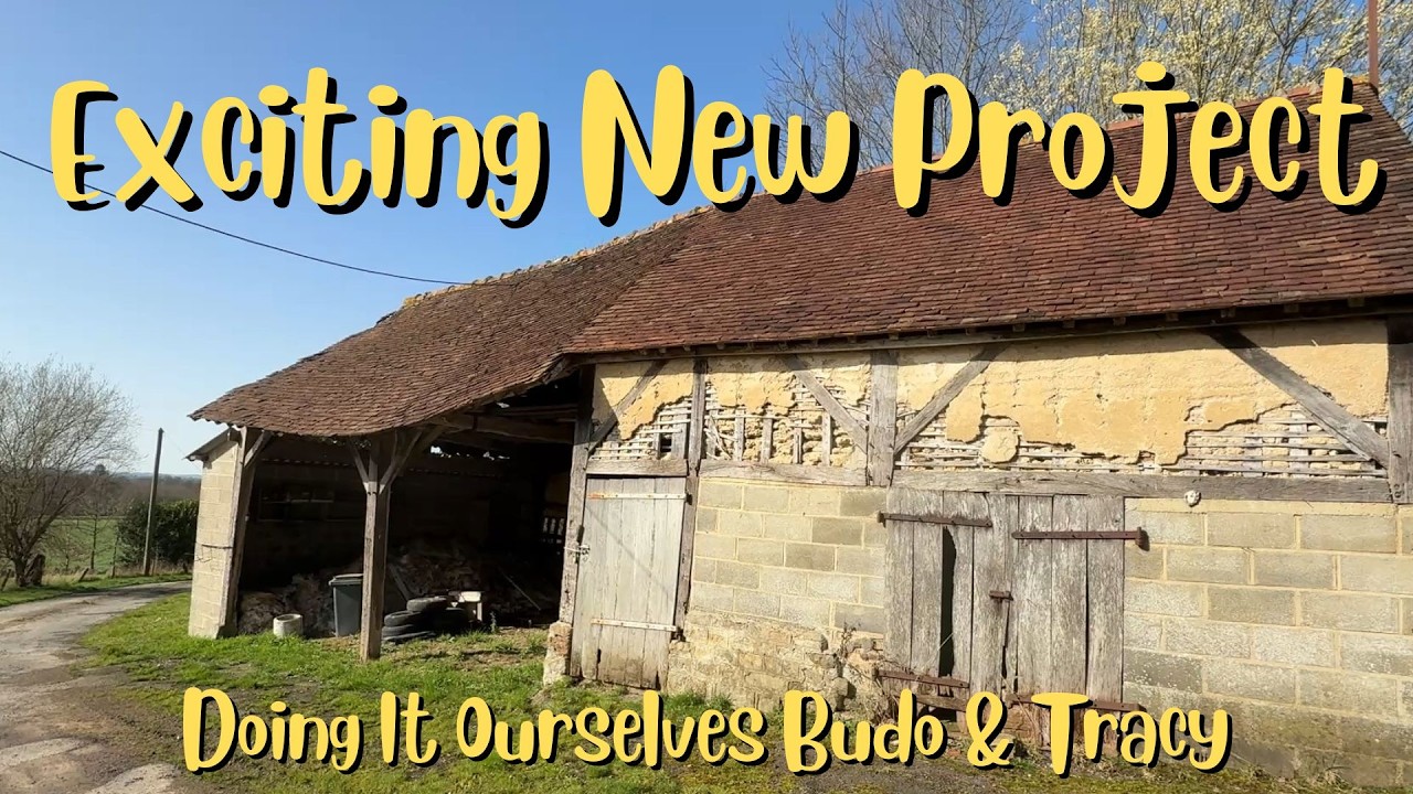 Are We Taking On To Much !!- Barn Renovation 