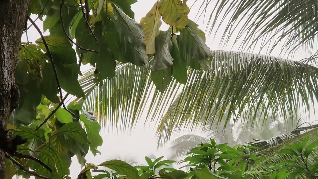 NorthEast Monsoons started here in Sri Lanka! 