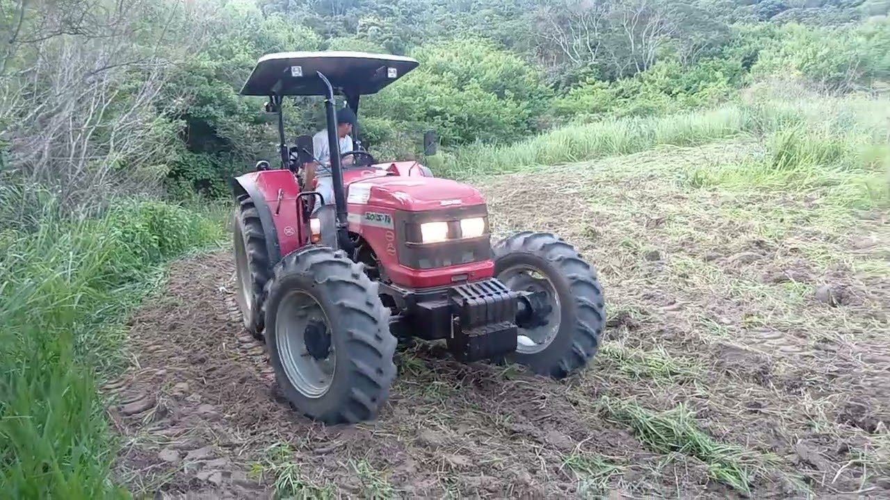 bora plantar milho🌽