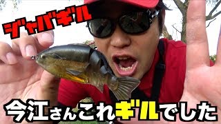 【今江さんありがとう】ジャバギルでデカバス捕獲！！