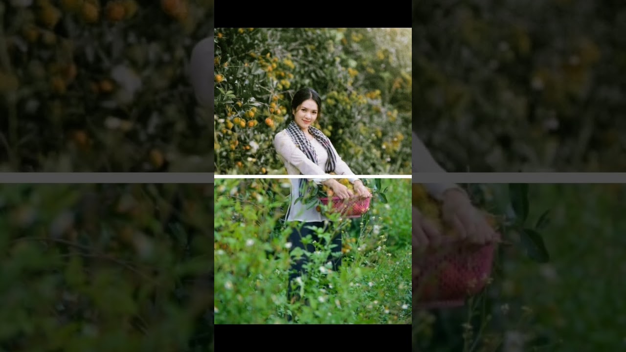 Fujifilm Presets || Lightroom Presets Free Download 