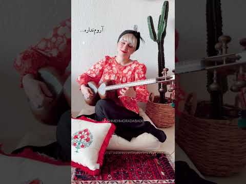 تار نوازی نغمه مرادآبادی با آهنگ میهمان از هایده  