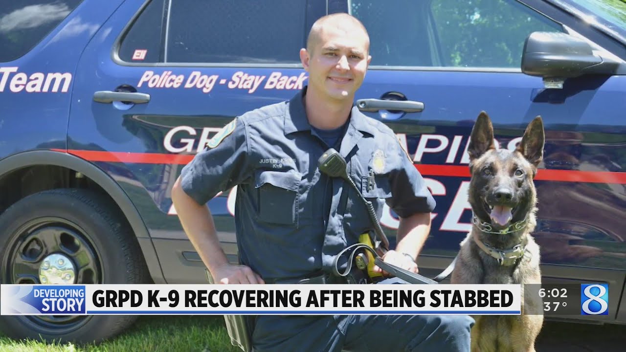 GRPD: Standoff suspect arrested after stabbing police dog - YouTube