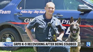 GRPD: Standoff suspect arrested after stabbing police dog