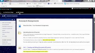 How to Login to Blackboard for Word Class