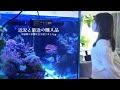 近況と購入品。半崩壊の120cm水槽が立ち直りました❀海水魚水槽 アクアリウム Marine aquarium.