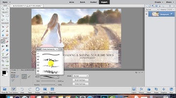 Install and Save your Brushes in Elements | A Photoshop Tutorial