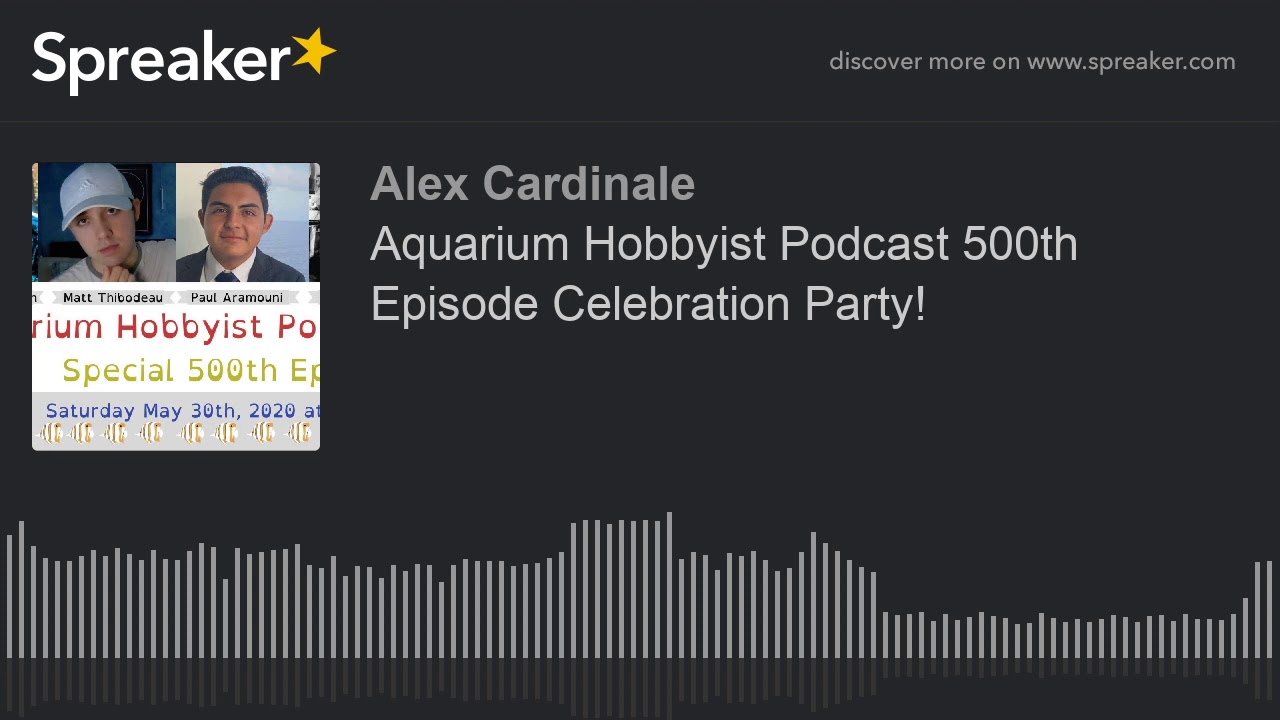 Aquarium Hobbyist Podcast 500th Episode Celebration Party! YouTube