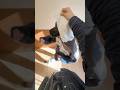 背伸びしなくてもちゃんと見えてるから安心しろ!#shorts #歌い手グループ