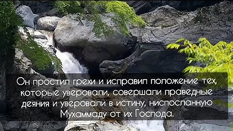Чтец Тарик Мухаммад. 47 сура "МУХАММАД".( سورة محمد)