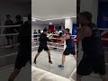 Mexican Boxing Style – Watch This Pro Go to Work