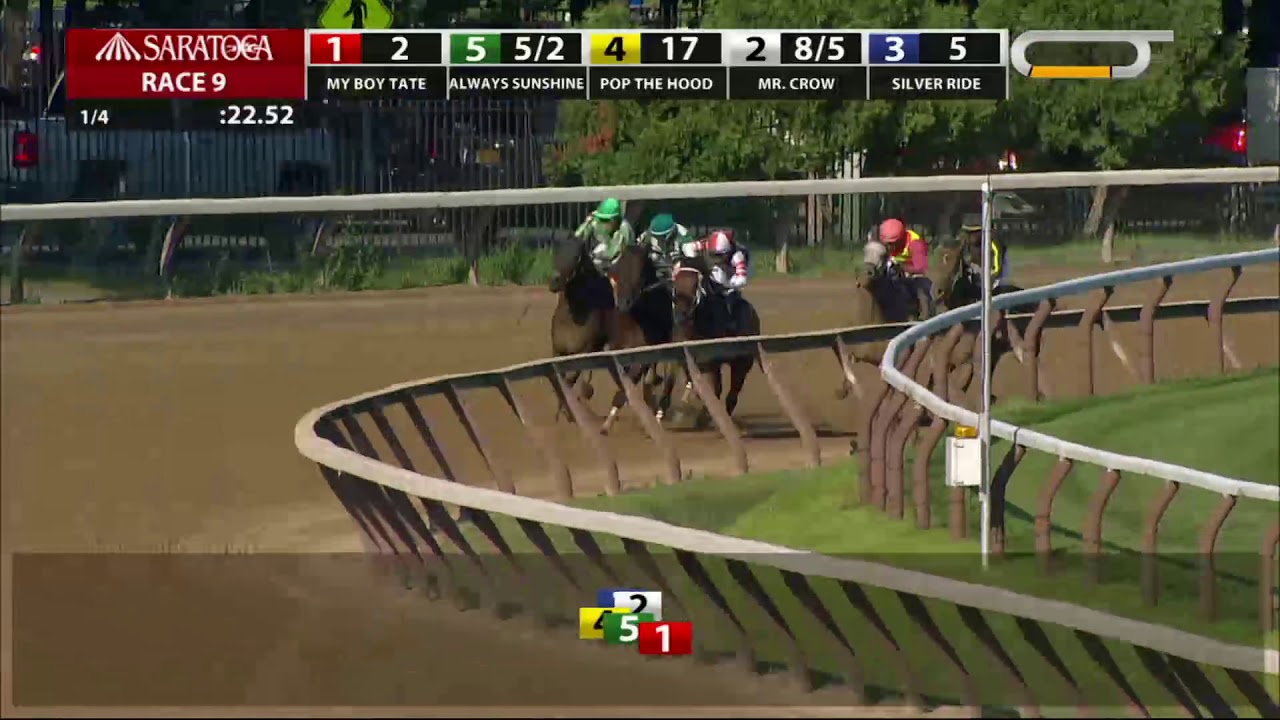 horse racing news Always Sunshine - 2018 - The Tale of the Cat Stakes