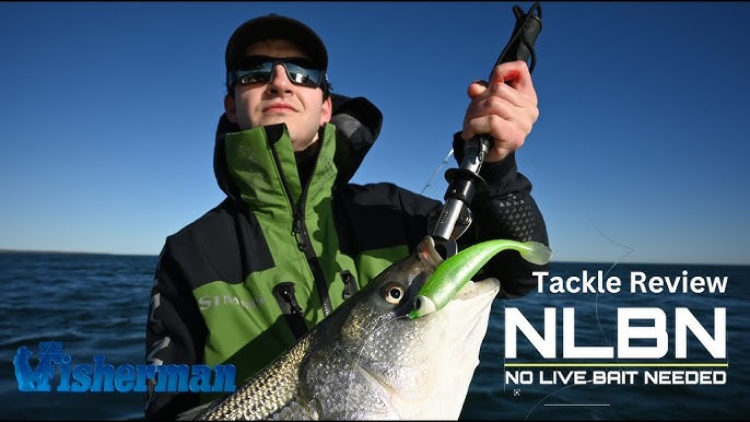 Friday Night Fish Talk Reviews No Live Bait Needed (NLBN)! 