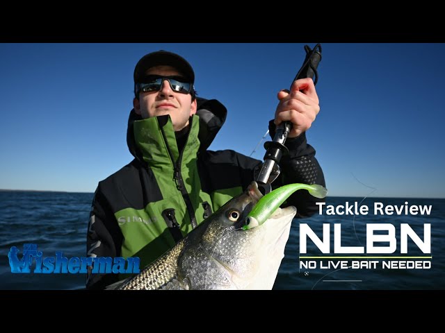 Tackle Review - (NLBN) No Live Bait Needed - The Fisherman 